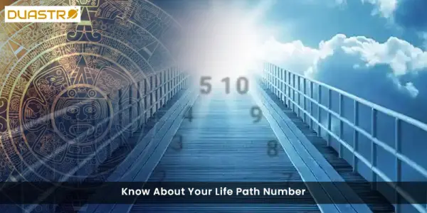 Know About Your Life Path Number